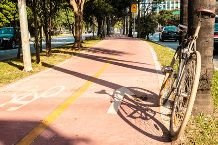 Photo of Bike Path in the Streets of Sao Paulo, Brazil (Brasil)