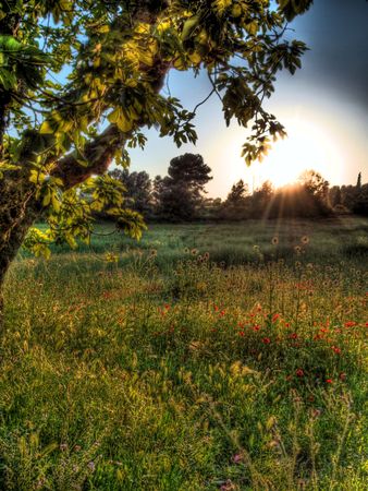 sunset in the mountainの写真素材