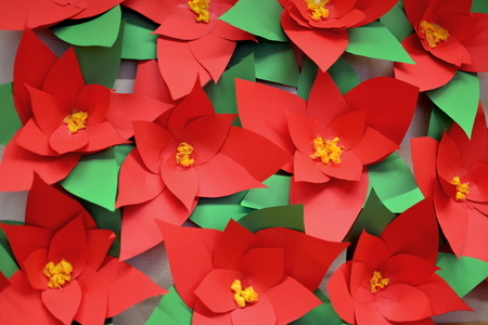 many handmade paper poinsettiasの写真素材