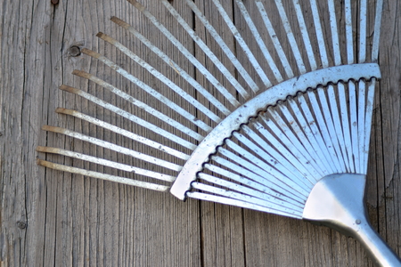 Old metal rake on wooden background. Garden accessories.の写真素材