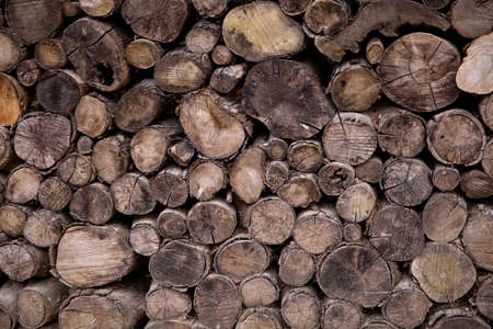 Round teak wood stump background for decoration.の写真素材