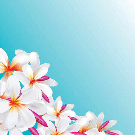 Vector of Plumeria flower background in realistic gradient mesh illustrationのイラスト素材