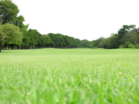 Landscape Green Grassの写真素材