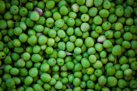 Green olives background in a local market. Natural light. の写真素材