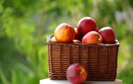 Small hamper with red peaches.の写真素材