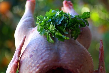 Raw Turkey ready to go into the oven.の写真素材