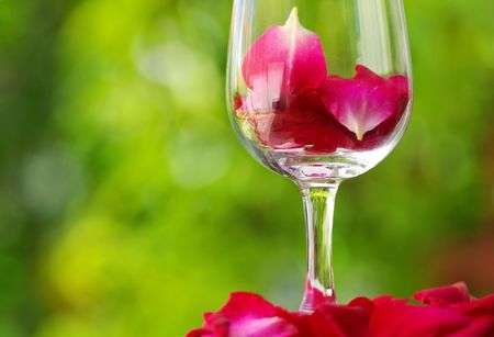 Petals of rose in a  glass of red wine.の写真素材
