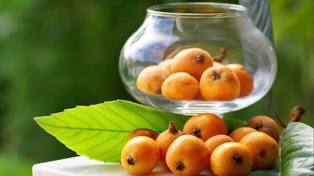 Mature and flavorful Loquats with in a glass container.の写真素材