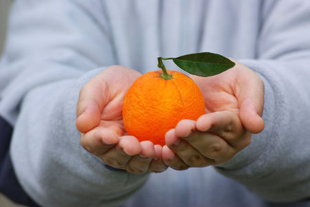 Orange, rich in Vitamin Cの写真素材