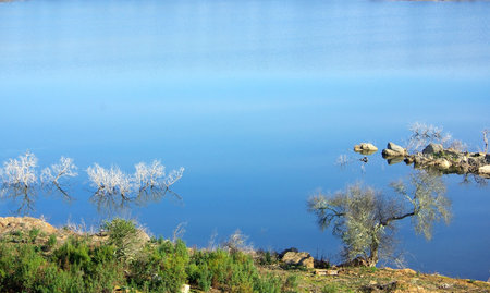 Landscape of Alqueva Lake.の写真素材
