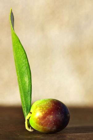 Mature Olive on leaf.の写真素材