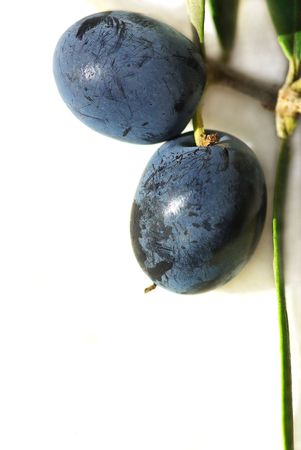 Closeup of mature olives.の写真素材
