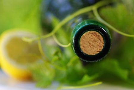 Bottle of red wine and grapevines.の写真素材