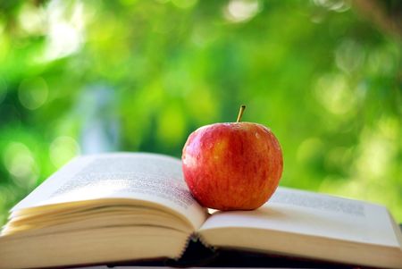 Red apple on a book.の写真素材