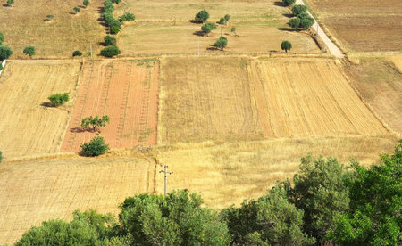 Landscape of agricultural field.