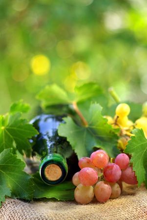 Bottle of wine and grappes.の写真素材