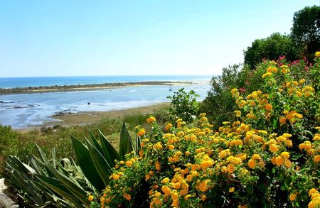 Landscape of Algarve region, Portugal.の写真素材