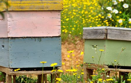 Bee houses at Portugal.の写真素材