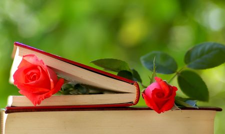Two Roses on books.の写真素材