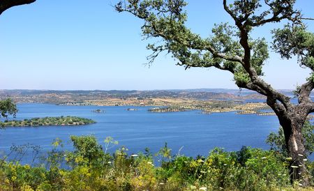 Park of Alqueva Lake.の写真素材