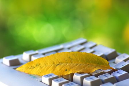 Yellow leaf on keyboard.の写真素材