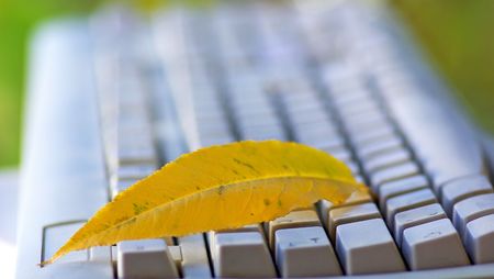 Yellow leaf on keyboard.の写真素材