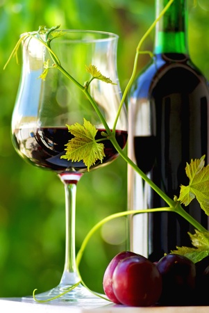 Red wine and fruits.の写真素材