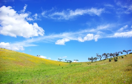 Landscape of alentejo field at Portugal.の写真素材