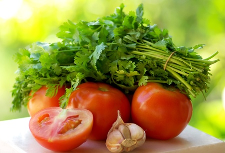 Tomato and green cilantro ingredients.の写真素材