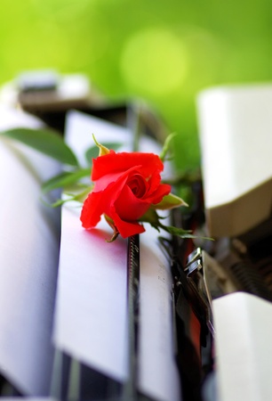 Red rose in old Typing machine の写真素材