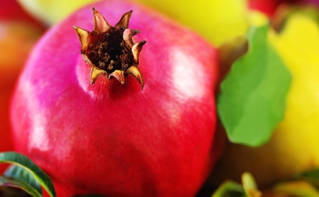 Closeup of Pomegranate and quinces.の写真素材