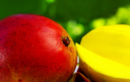 Sliced mango on green backgroundの写真素材