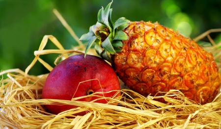 Raw tropical fruits, pineapple and mangoの写真素材