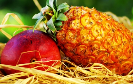 	Raw tropical fruits, pineapple and mangoの写真素材