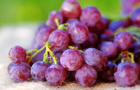 red grape fruit, on table
