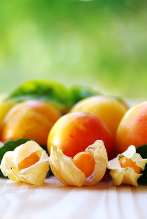 ripe physalis and plums on green background の写真素材