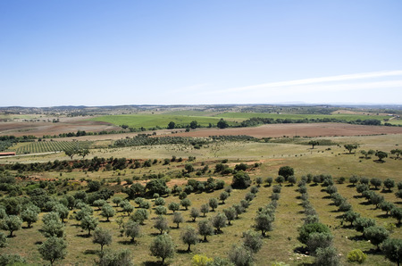 Landscape of agriculture fields of crops,alentejo,Portugalの写真素材