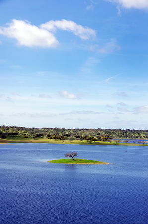 small island in alqueva lake, south of Portugalの写真素材