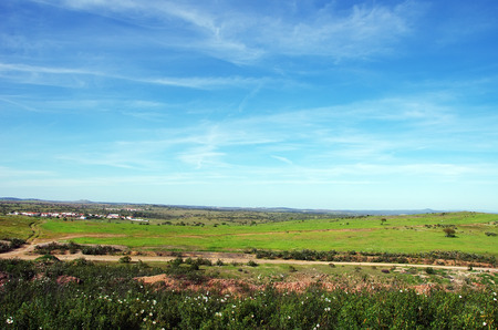 landscape of alentejo region, south of Portugalの写真素材