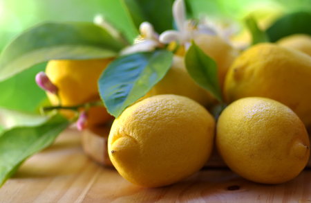 ripe lemons and leaves on a wooden tableの写真素材