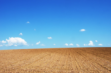 ploughed field under blue skyの写真素材