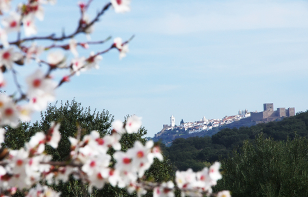 landscape of old village, Monsaraz, Portugalの写真素材