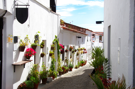 old street with flowers, Moura (Portugal)の写真素材