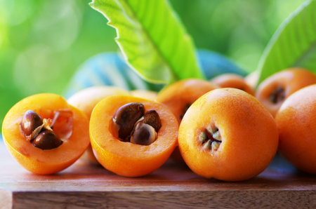 Loquat Medlar fruit isolated on a green background