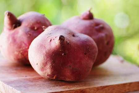 sweet potatoes on wooden table, green backgroundの写真素材