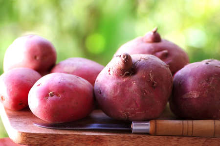 potatoes and knife on wooden table, green backgroundの写真素材
