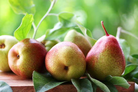 Fresh Ripe Pears On A Rustic Wooden Tableの写真素材