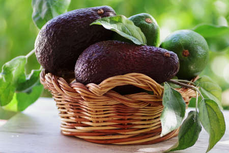 ripe avocado and green leaves on wooden basketの写真素材