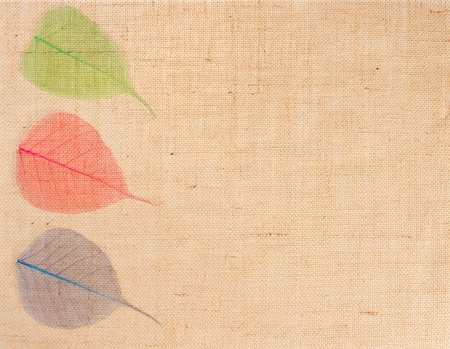 sackcloth with multicolor leaves  decorの写真素材