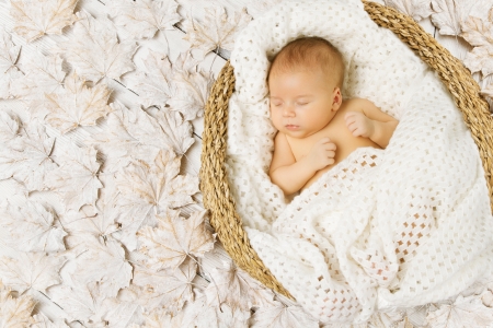 Baby newborn sleeping in art basket on white leaves wrapped in woolen blanket
の写真素材